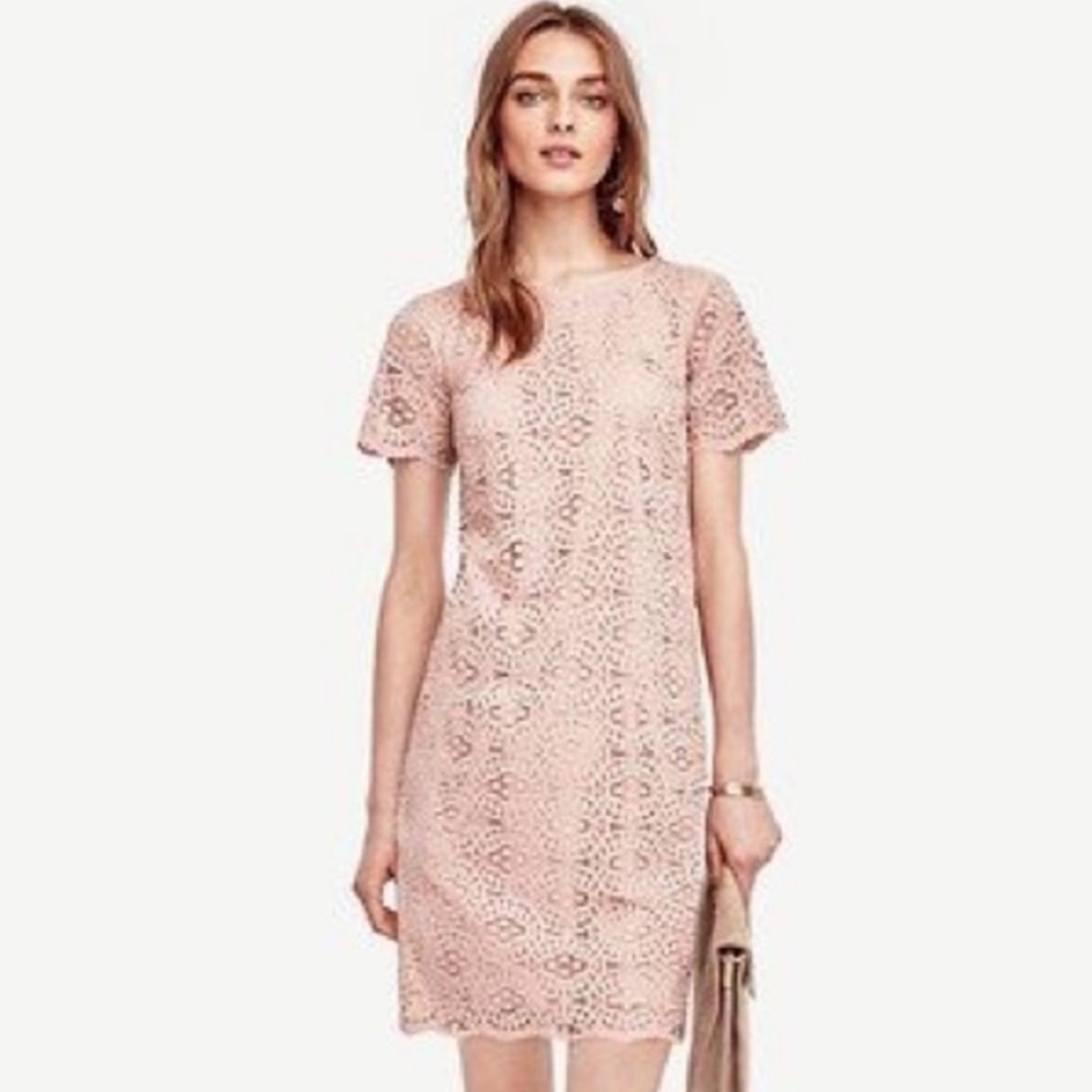 Ann Taylor Mosaic Lace Shift Dress